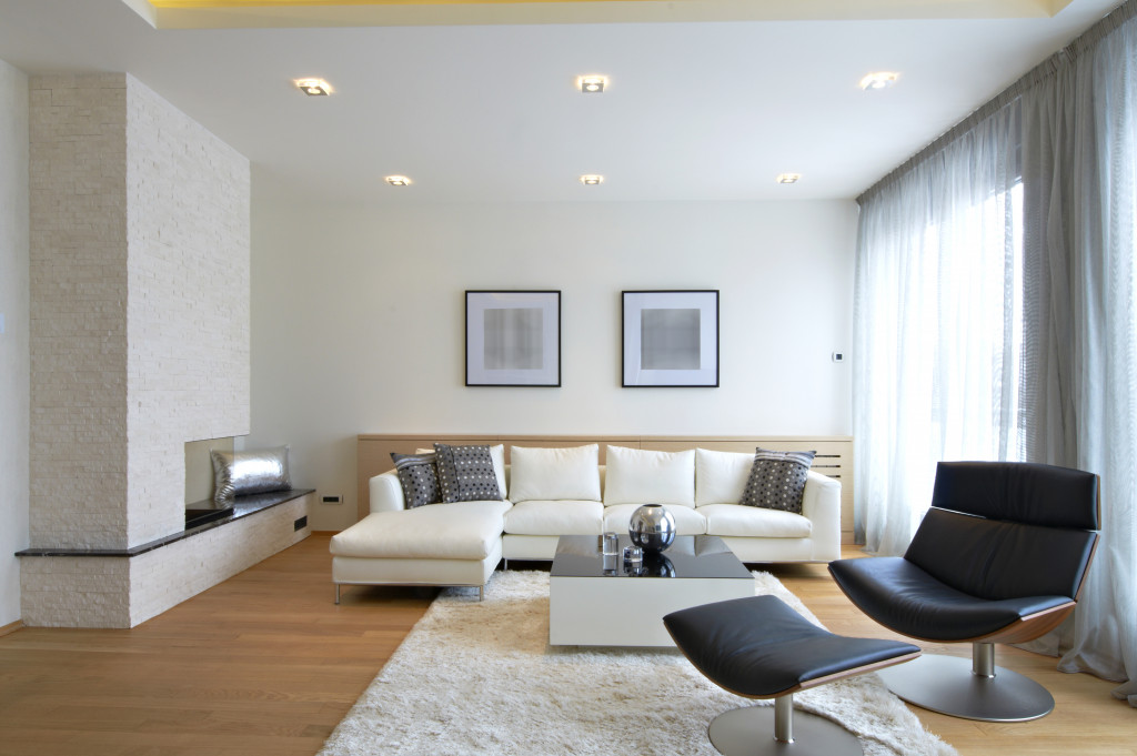 modern living room interior with furnitures and carpet