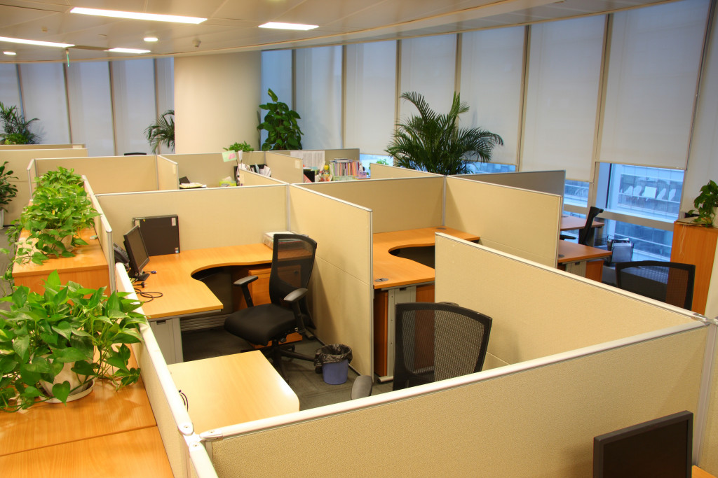 office cubicles with plants and ergonomic furniture