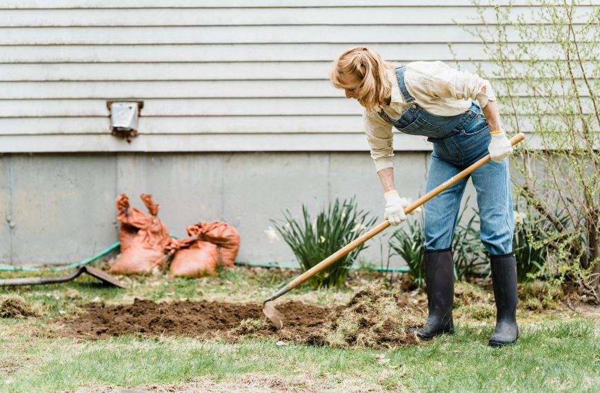 Essential Techniques for Maintaining a Fruitful Backyard Garden