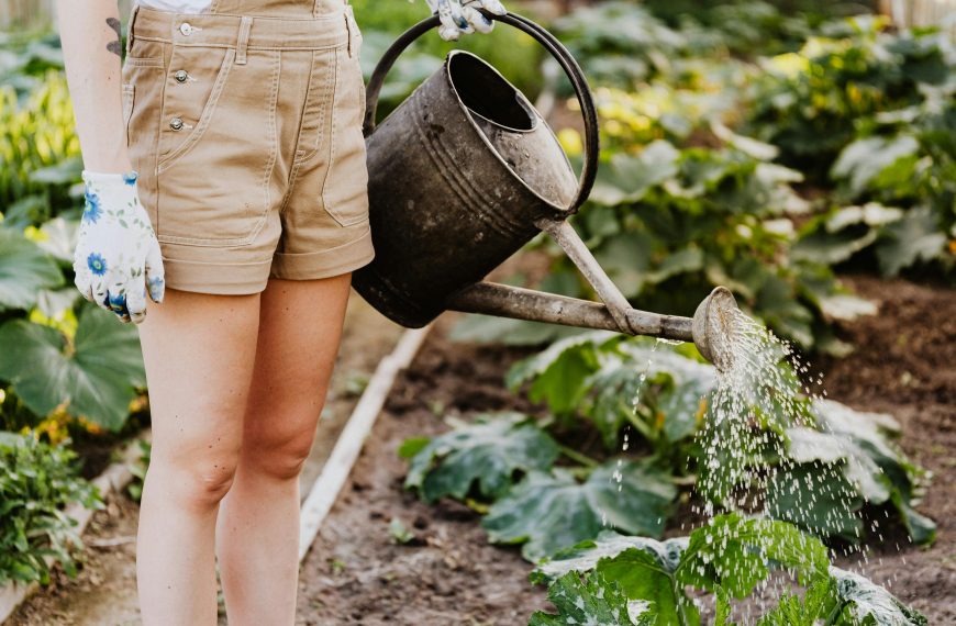 How to Get the Best Deals on Gardening Supplies