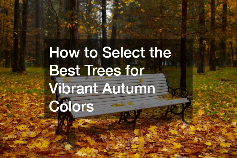 How to Select the Best Trees for Vibrant Autumn Colors