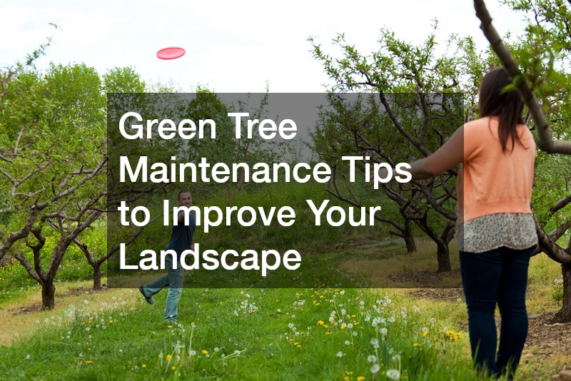 Green Tree Maintenance Tips to Improve Your Landscape