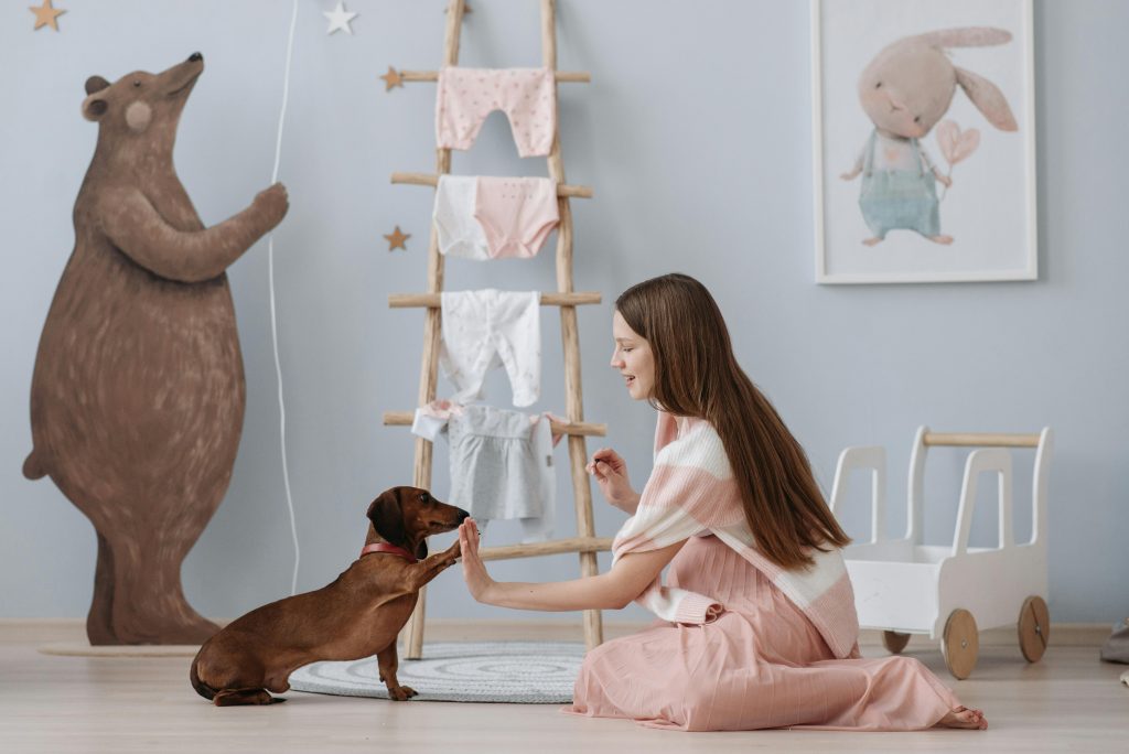 pregnant woman sitting with her dachshund in a blue-painted nursery