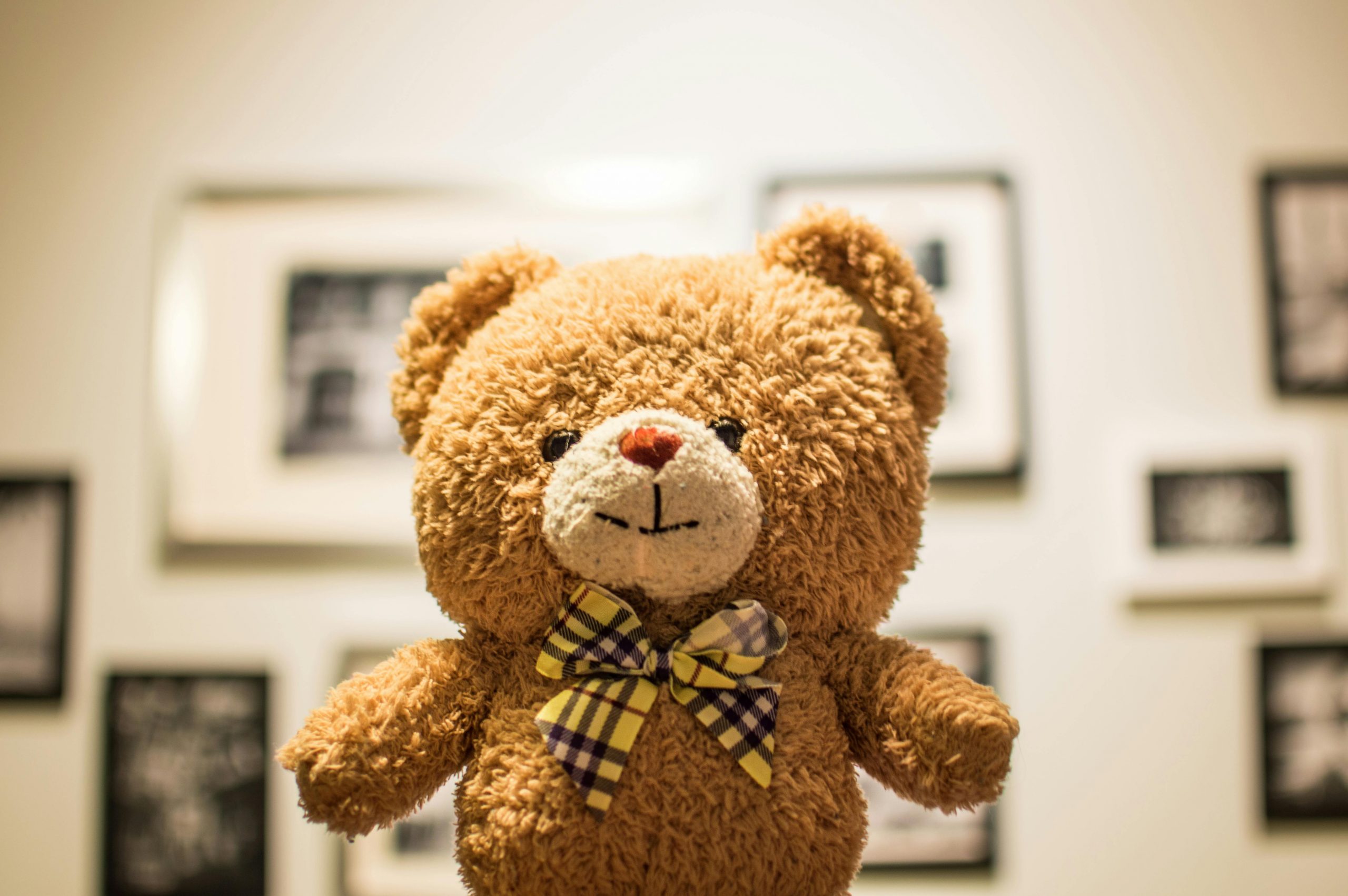 teddy bear placed against a photo-covered wall