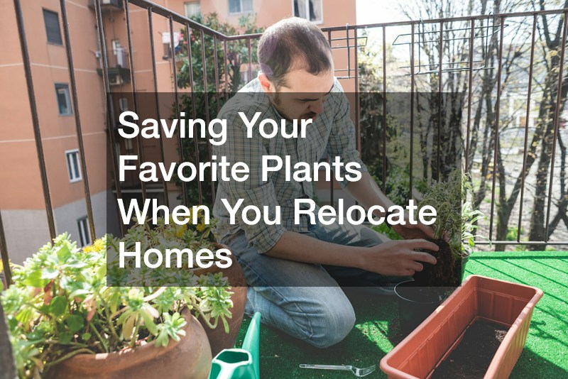 Saving Your Favorite Plants When You Relocate Homes